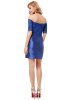ROCHII DE SEARA - Rochie cocktail Yrenne