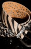 Centuri / Curele - Curea Zebra Look Beige