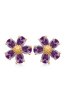 Cercei - Cercei Flore Purple